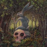 Hare today gone tomorrow